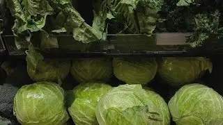 healthy stomach + digestive system subliminal