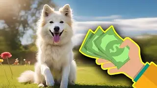 Quais os custos do tratamento de Leishmaniose em Cães? | Dr. Edgard Gomes | Alimentação natural Cães