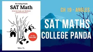 Master Angles Like a Pro: College Panda Math Chapter 19