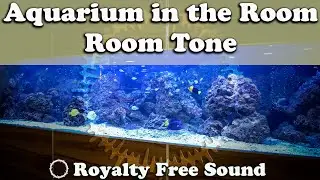 Room Tone. Aquarium in the Room. Compressor Humming. Sounds from the Street. Рум Тон. Звук Аквариума
