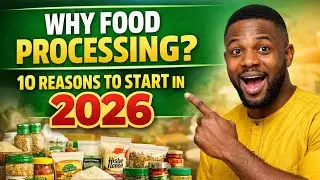 10 reasons why you should start Food processing businesses in Nigeria in 2026.