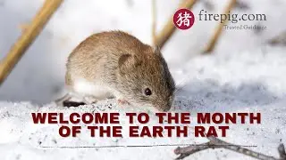 3 Days to look out for in the Lunar Month of the Earth Rat