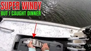 Hard Windy Day of Fishing but I caught Dinner