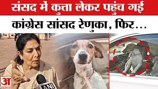 Parliament Winter Session: Congress सांसद कुत्ता लेकर पहुंची संसद, फिर...  | Renuka Chowdhury Dog
