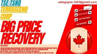 TSND STOCK : BIG PRICE RECOVERY | TERRASCEND STOCK