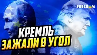 Трамп и Зеленский готовят сделку БЕЗ УЧАСТИЯ Путина?