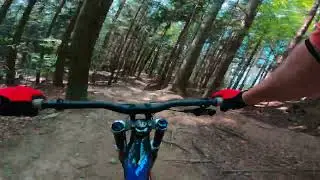  Dzika Kasina Bike Park  2025