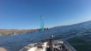 Grace Crowley catching a rockfish in Jenner