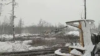 Skidding and deliming Tamarack in Minnesota snow storm 3-12-23