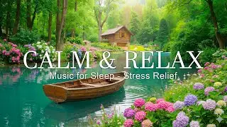 Deep Relax Music – Stop Worrying, Calm Mind, Stress Relief, Sleep