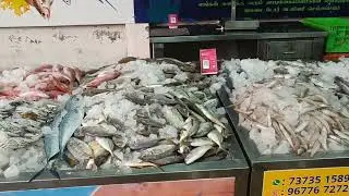 #madurai #pmr #seafood #today #saturday #special #fishing #trending