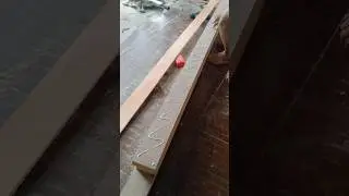 Lem Super vs Nail Gun#shorts