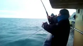 Vissen met een huurhengel van de MS Tender gaat beter dan een eigen hengel.