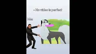 no perfect video? #viral #funny #animals #dogs #cute