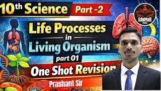 ONE SHOT REVISION |Life Processes In Living Organism | 10th Science Part 2 | Prashnat Sir
