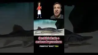 Linda Belcher talks about sturgeon (impression)
