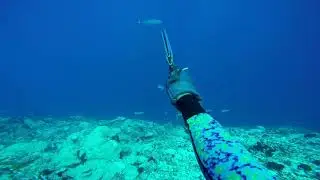 Spearfishing in Tuamotu's islands