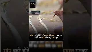 अगर कभी साँप पीछे पढ़ जाये तो - #shorts #shortvideo #interesting