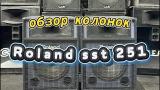 Обзор колонок Roland Sst 251