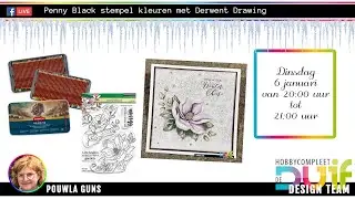 260106 Penny Black kleuren met Derwent