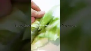 here's how to start cabbage #cabbage