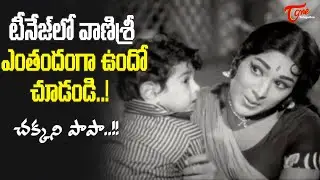 Heart Touching Vanisri Teenage Song | Chakkani Papa Song | Karpura Harathi Movie | Old Telugu Songs