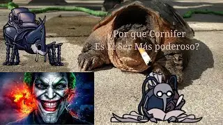 Por que Cornifer es El ser mas Poderoso de todo Hallownest