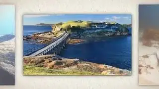 Sydney Dive Sites