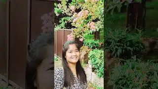 Hongkong x Macau Travel