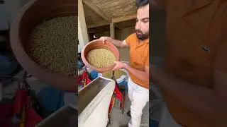 Soya Ekimi İle İlgili Bilgilendirme
