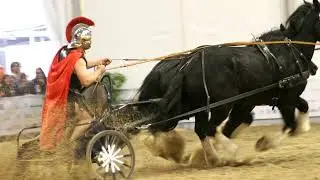 You Won&rsquo;t Believe How Deadly Roman Chariot Racing Was!   #HorseRacingHistory #DeadliestSports