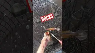 My BEST Musky Fishing Tactic for a TOUGH BITE? #musky #fishing #muskyfishing #muskie #outdoors #esox