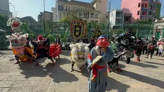 Tết Tây 01/01/2026 Đoàn Võ Thuật BẠCH MI Thượng Dịch 白眉 khai Quang Cúng Lễ 