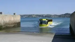 HIPPOtrip dentro e fora d'água