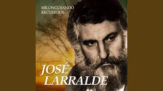 Afiche