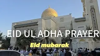 Eid ul Adha Mubarak 2025 | Heartwarming Celebrations, Qurbani, and Family Moments