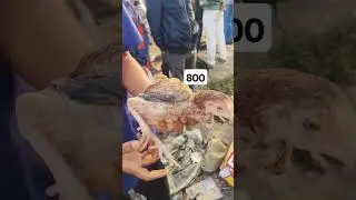 Kurnool hen market #villagehen #aseelmurga #fighteraseel #aseelbreeder #kurnoolcity #birdlover