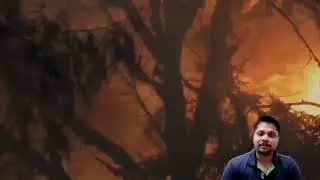 அமேசான் காடுகளில் காட்டு தீ -அதை ஏன் டா இங்க சொல்ற??? / amazon forest fire explained in tamil