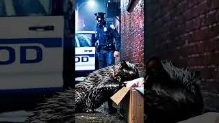 Dog Stole Her Food! Police Officer Saved Starving Cat Mom & Kittens #shorts #catrescue