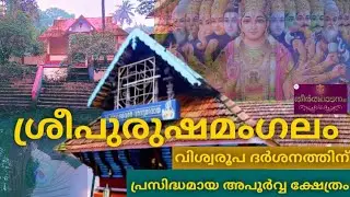 വിശ്വരൂപദർശനത്തിന് പ്രസിദ്ധമായ പുരാതന ക്ഷേത്രം|Sreepurushamangalam|Temple Vlog|Lord Krishna