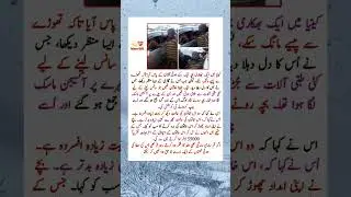 Humanity Wins Again ❤️ | Emotional Real💫 Story #islam365 #reality #kinia #motivation #shots #islam