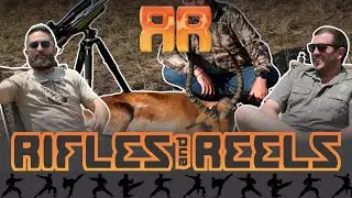 A ninja bug FIGHT and an Impala Hunt!