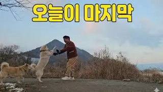 겨울 아침 산책은 그만ㆍ 빙판길 보행은  슬개골 파열등 동절기 야외 나들이는 강아지 건강에 치명적이랍니다 