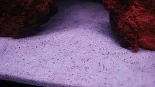 How-to use Pool Sand for your Fish