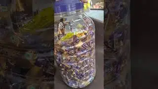 #candy big Jar  mrp 952 free 5 #Star chocolate 12 pc mrp 10 952-10%=857-120=737 952-737 #profits 215