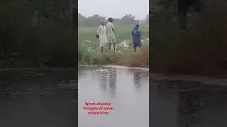 Hisar Flood Disaster | Patan colony  hisar Dooba Sarkari Laparwahi Se!