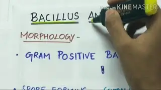 bacillus anthracis - microbiology handwritten notes