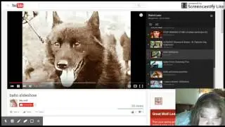 My Favorite movie Balto