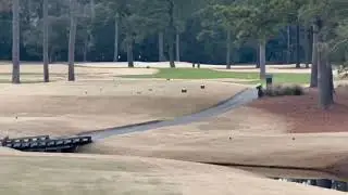 UNC STILL BIKES ON THE GREENS!