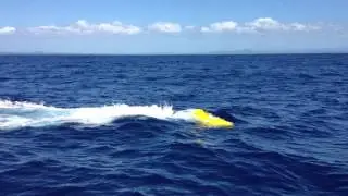NSW Department of Primary Industries - Fisheres FAD (Fish Aggregating Device)
